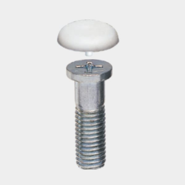 Ebco M10 Philip Head Screw & Cap