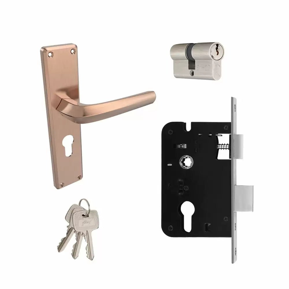 Godrej NEH 06 200 mm Door Handle Set 2C - Black Antique Copper