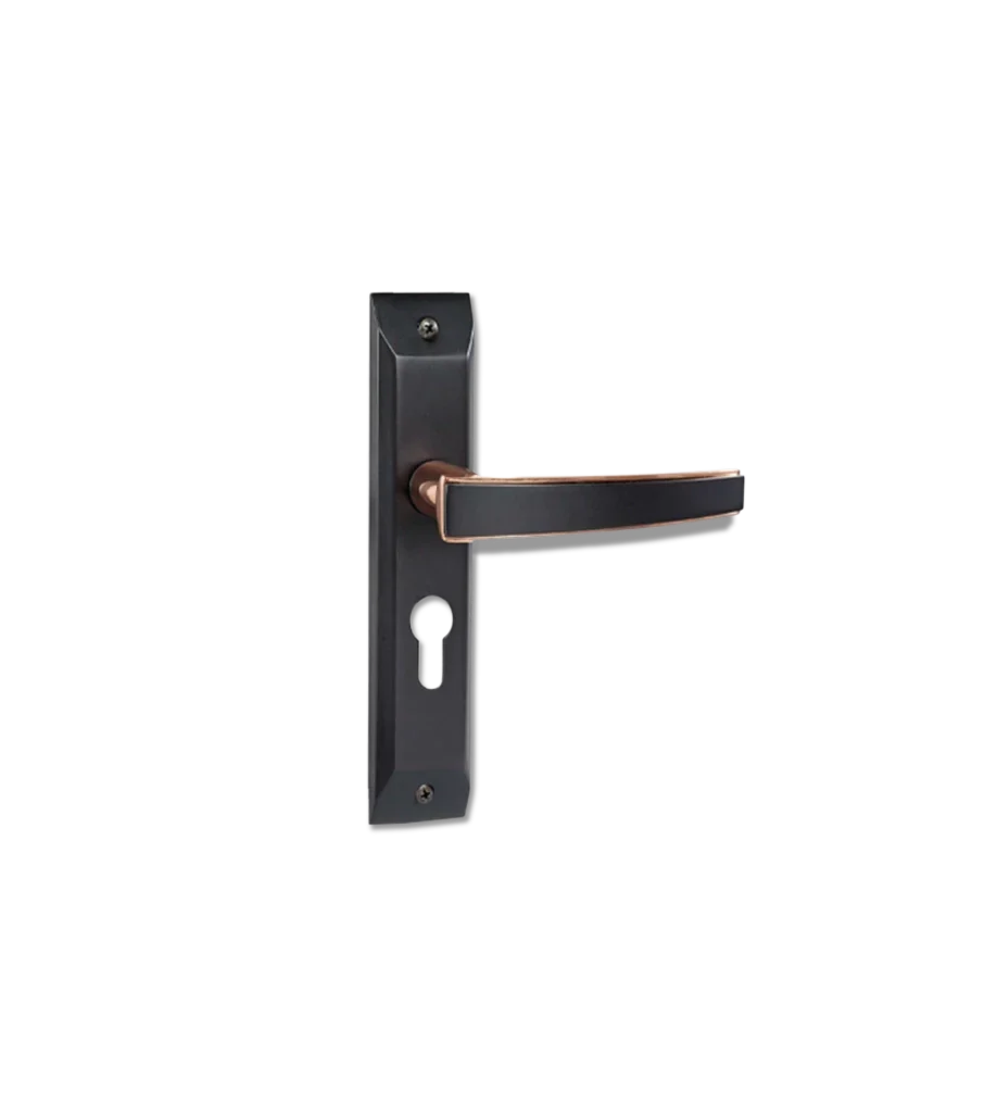 Godrej NEH 06 200 mm Door Handle Set 1CK