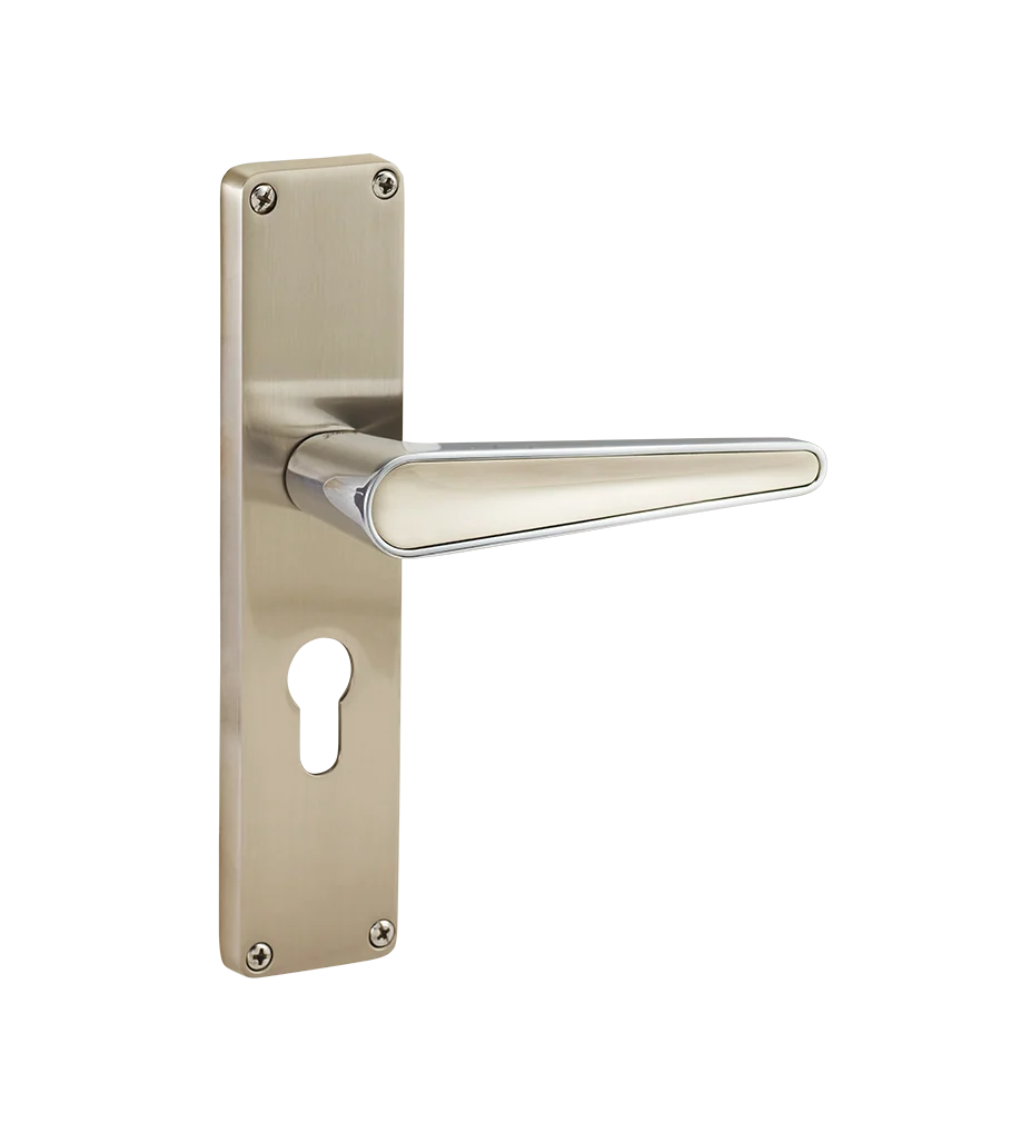 Godrej NEH 19 200 mm Door Handle Set 2C