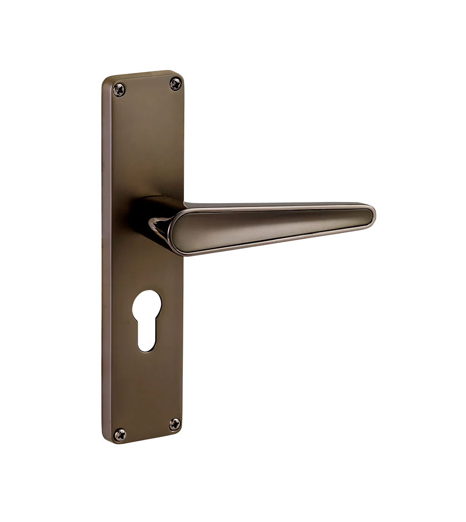 Godrej NEH 19 240 mm Door Handle Set 2C