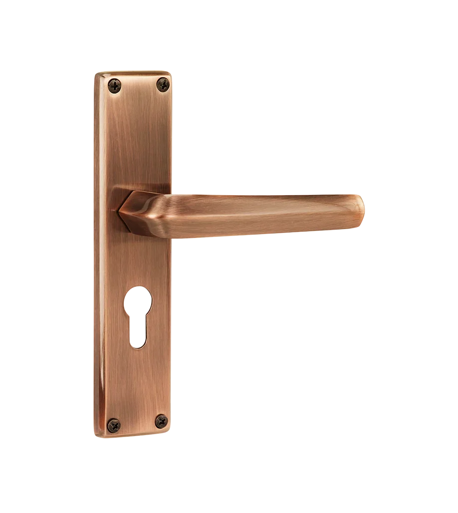 Godrej NEH 20 240 mm Door Handle Set 2C