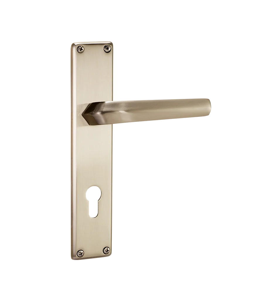 Godrej NEH 20 240 mm Door Handle Set 2C
