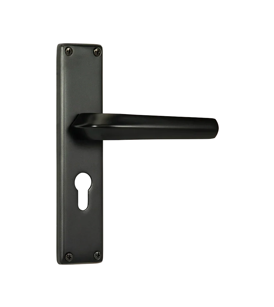 Godrej NEH 20 240 mm Door Handle Set 2C