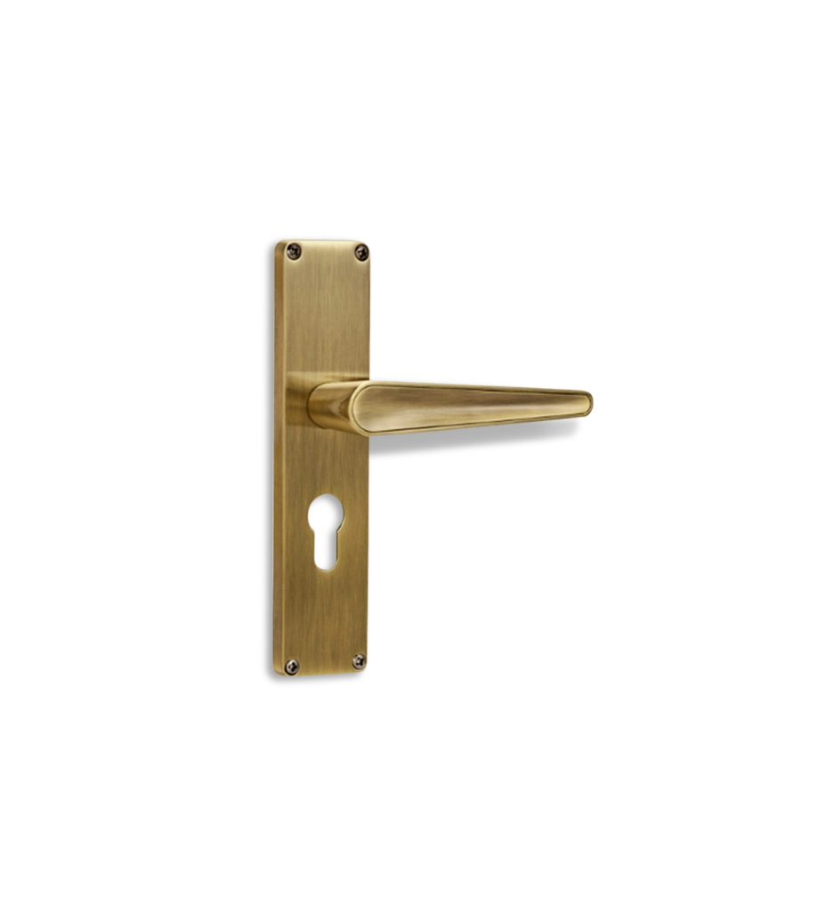 Godrej NEH19 200mm Door Handle Set 2C - Satin Steel