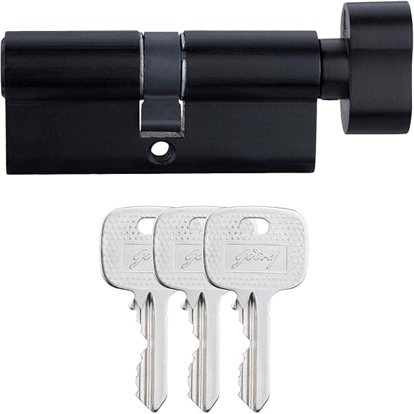 Black cylindrical lock with three keys on a white background