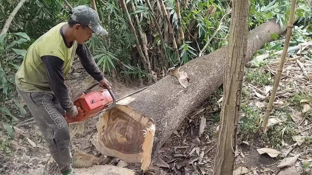 Husqvarna 3120 XP Chainsaw Petrol 36"