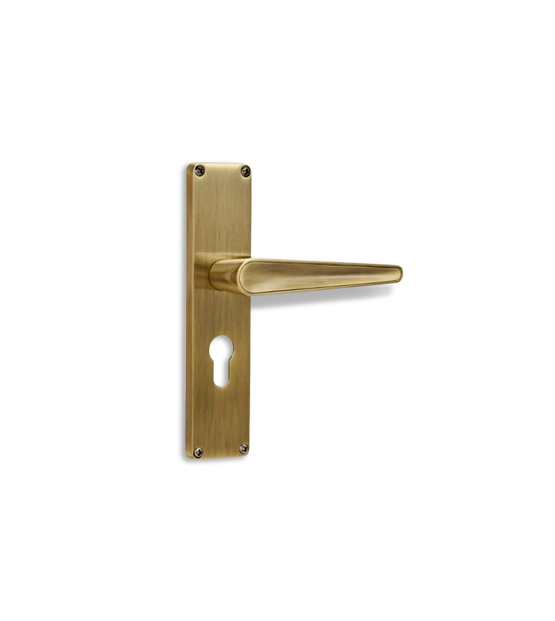 Godrej NEH 19 240mm Door Handle Set Guide