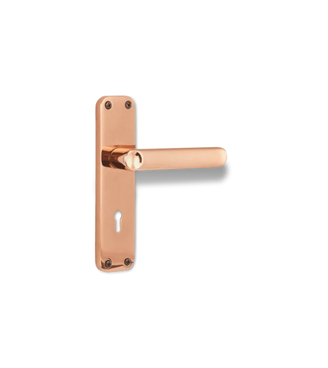 Godrej ELC 09 6 Lever Mortise Lock
