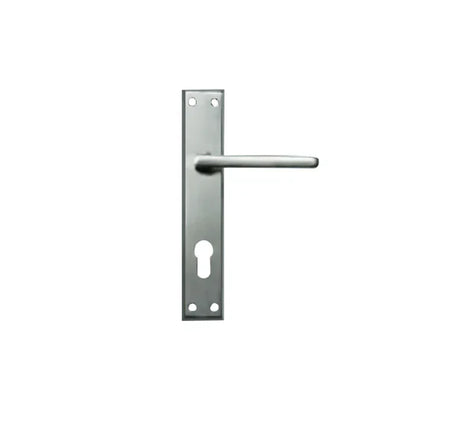 Godrej NEH 07 Door Handle Set 1CK – Satin Steel