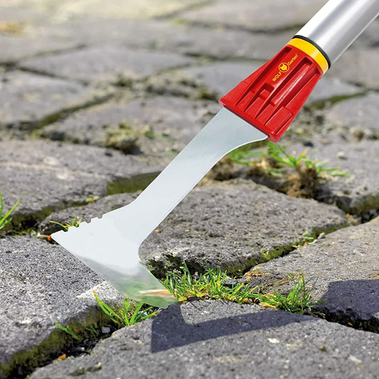 Wolf Garten FK-M Joint Scraper