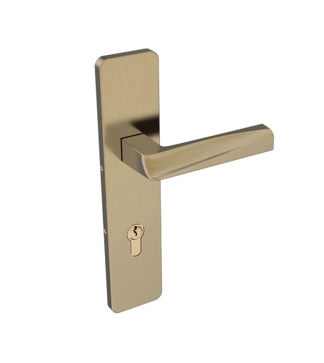 Gold door handle on a white background