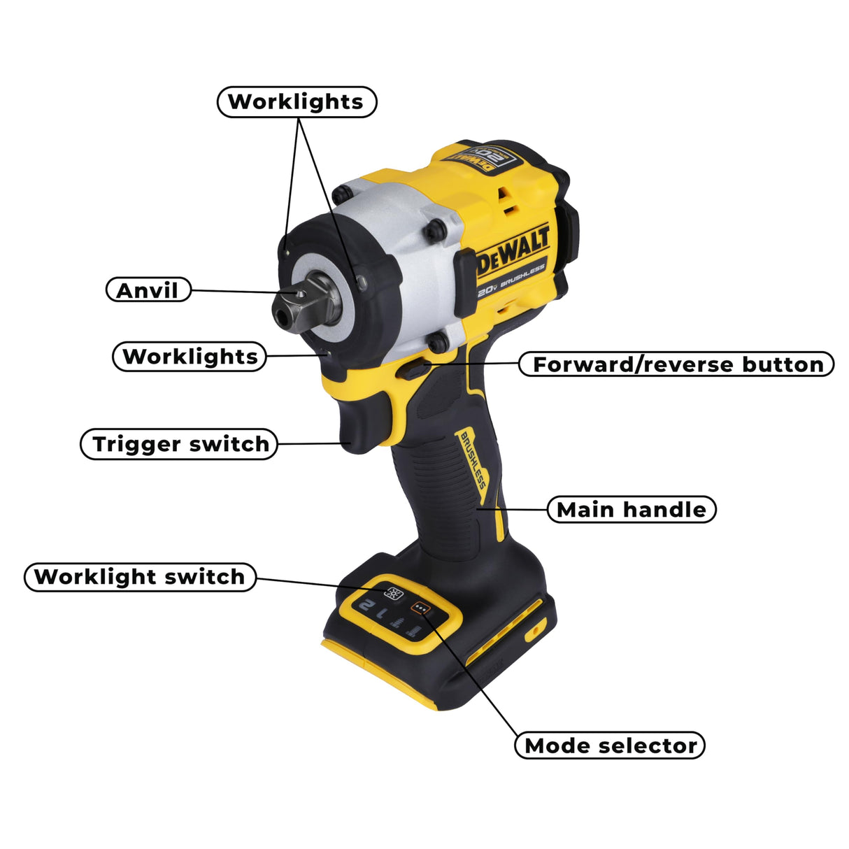 DEWALT DCF922N-B1 1/2'' 20V Max Li-ion Reversible Cordless Brushless Compact Impact Wrench,610 Nm Torque with LED Ring Lighting (Bare Tool)