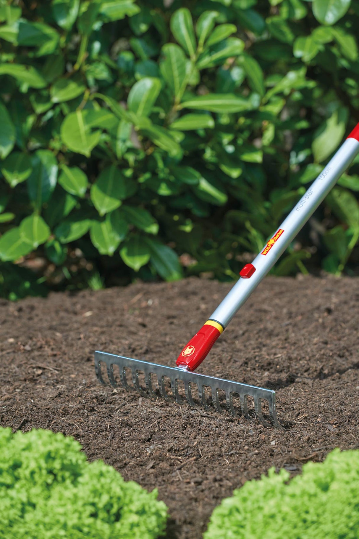 WOLF-Garten DR-M Soil Rake, 30 cm