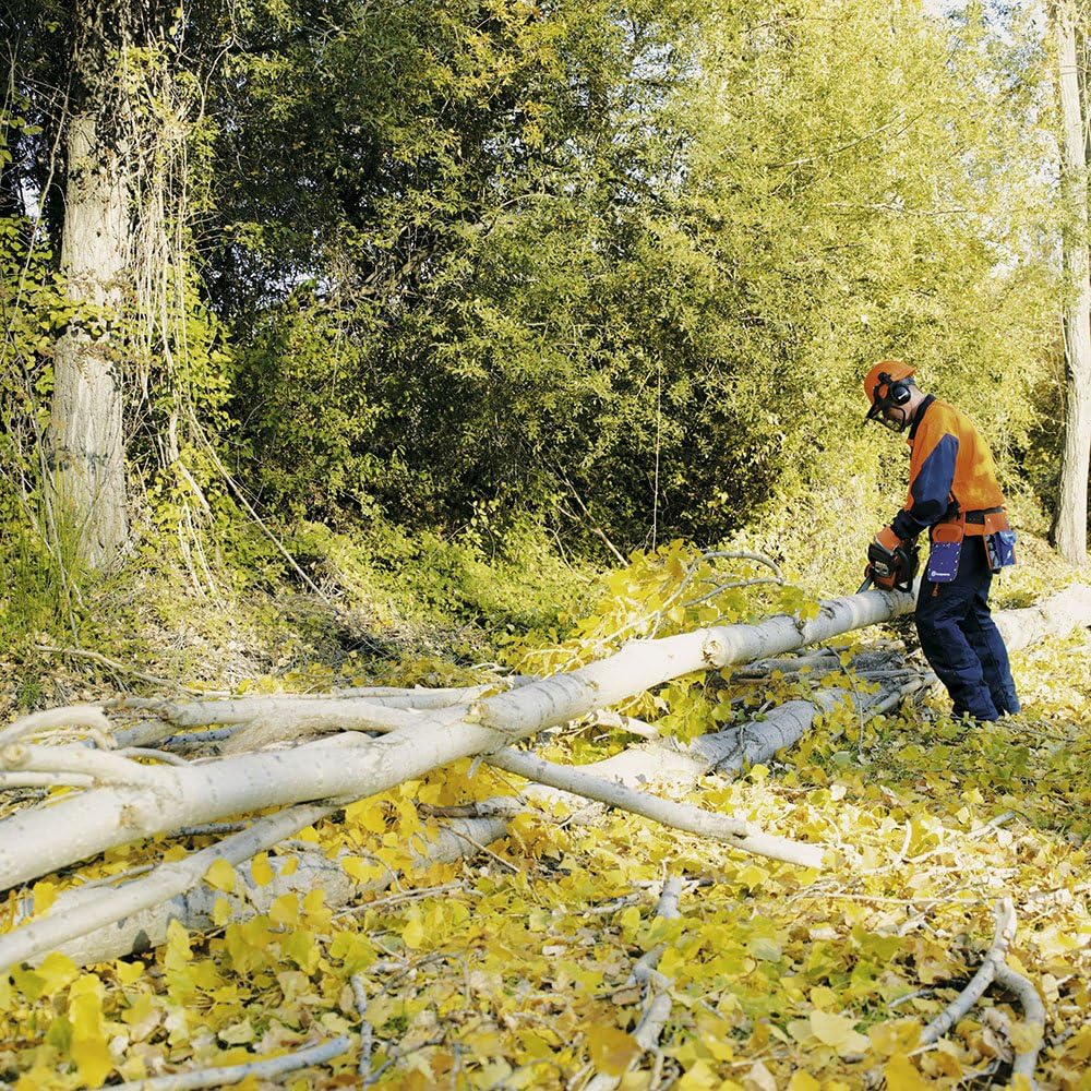 Husqvarna 18 Inch 445E II Gas Chainsaw