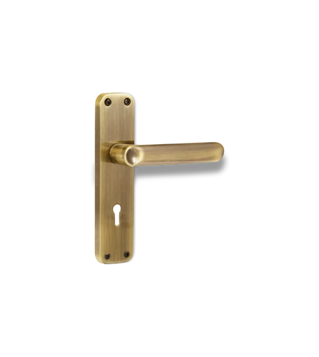 Godrej ELC 09 6 Lever Mortise Lock