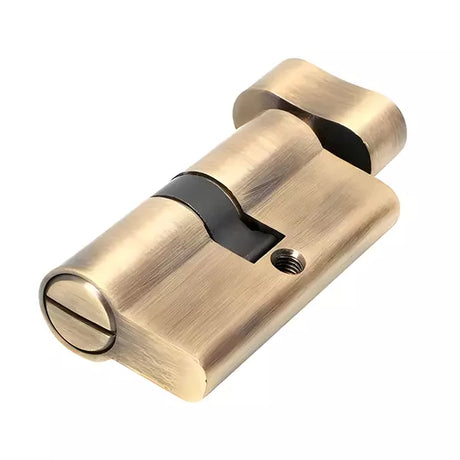 Ebco Brass Zen Cylinder 60mm Coin-Knob AQ