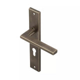 Ebco Brass Zen Handle Backplate 1