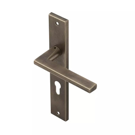 Ebco Brass Zen Handle Backplate 1