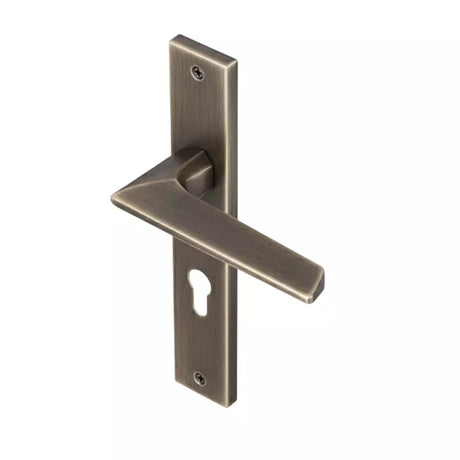 Ebco Brass Zen Handle Backplate