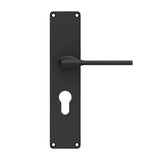 Godrej EM 01 200 mm Door Handle Set 2C