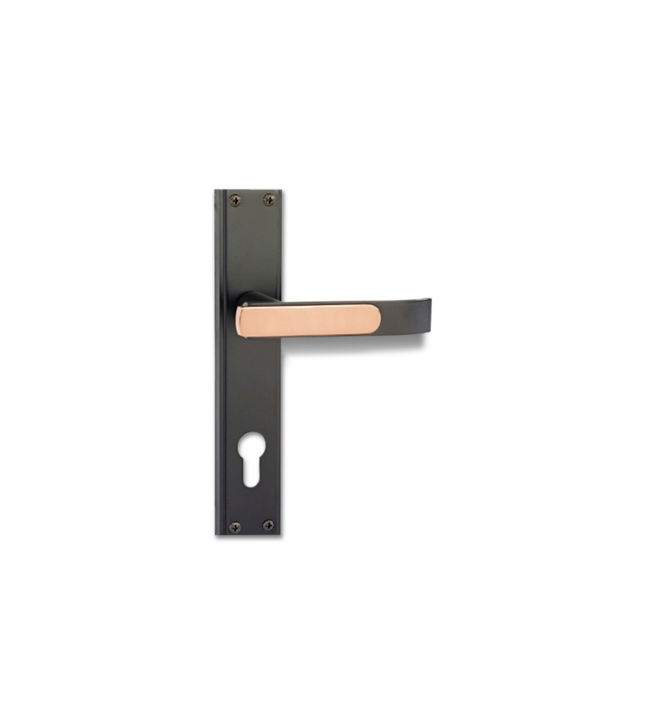 Godrej Gloria 200mm Door Handle Set 1CK Black Rose