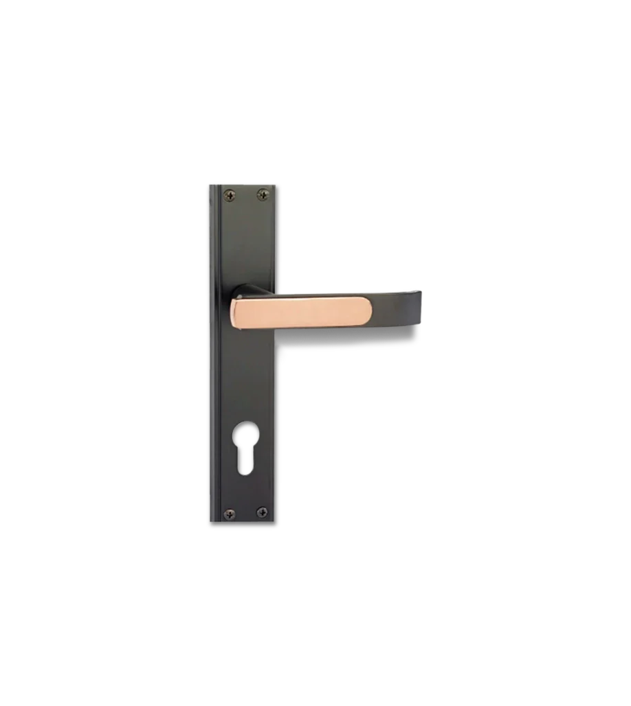 Godrej GLORIA 200 mm Door Handle Set 1CK