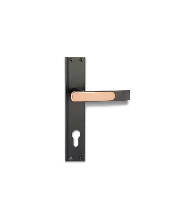 Godrej GLORIA 200 mm Door Handle Set 1CK