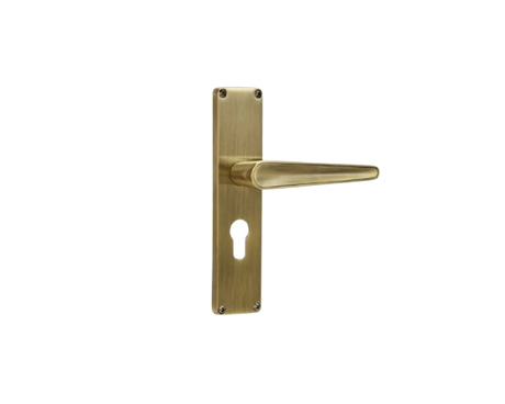 Godrej MEG 190 mm Door Handle Set 1CK