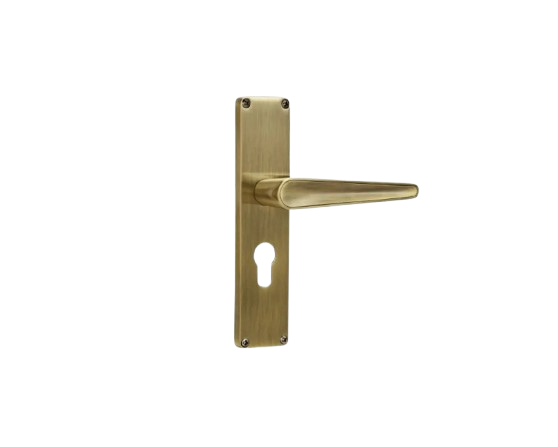 Godrej EVA 190mm Door Handle Set 2C Brass Finish