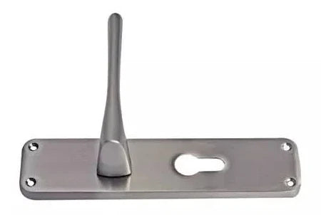 Godrej MEG 190mm Handle Set 2C Brass 2279
