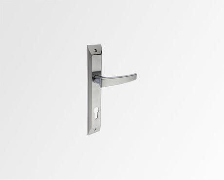 Godrej NEH 06 Baby Latch with Handle Set