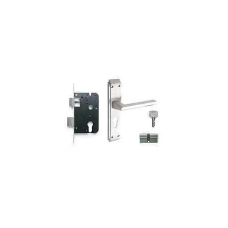 Godrej NEH 07 Door Handle Set 2C – Satin Steel