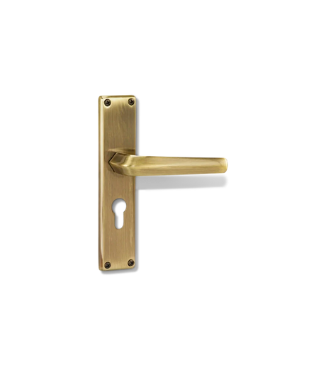 Godrej NEH 20 240 mm Handle & Lock Combo