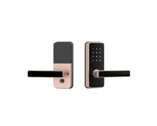 Godrej Advantis Revolution Gold Multi-Access Lock