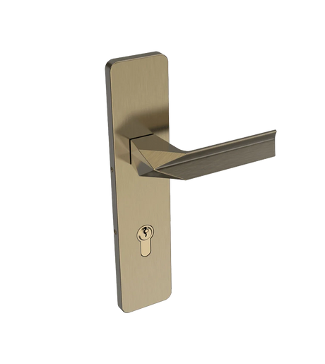 Godrej Cameo 250mm Urban Chic Plate Door Handle