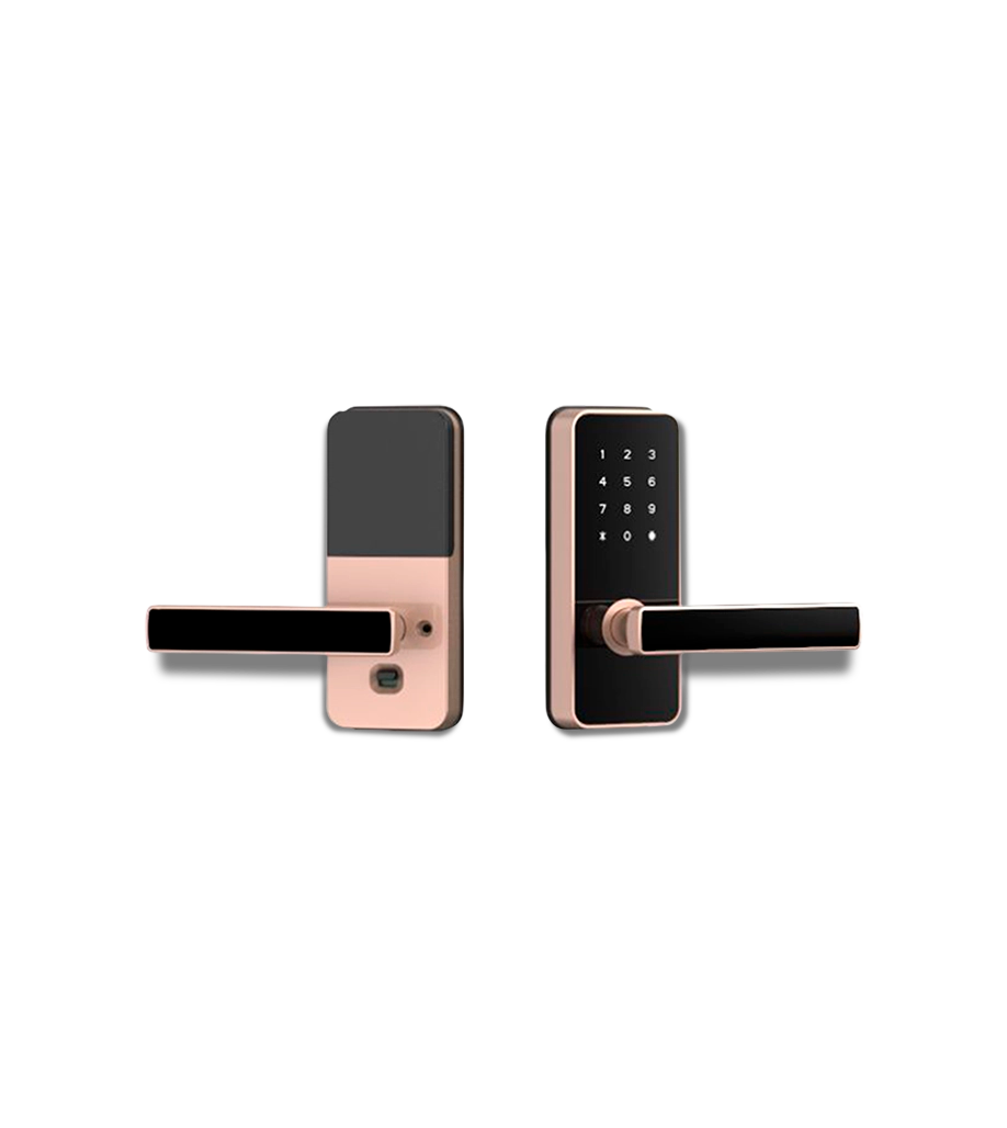 Godrej Catus Touch Digital Mortise Lock - Rose Gold