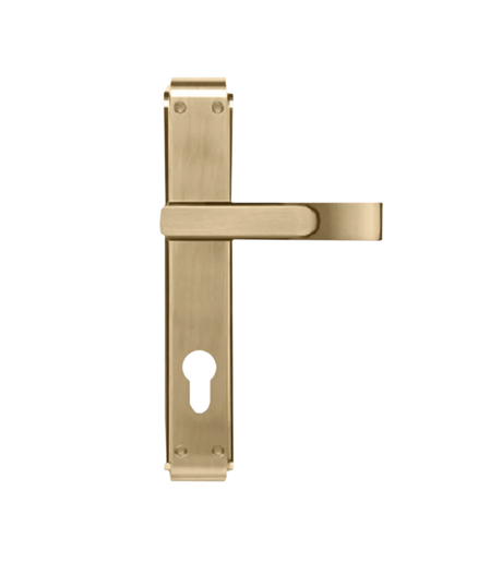 Godrej Gloria 240 mm Door Handle Set 2C with Victor Cylinder