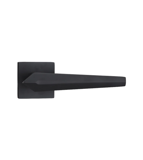 Godrej HDH 01 Euro Modern Rose Door Handle