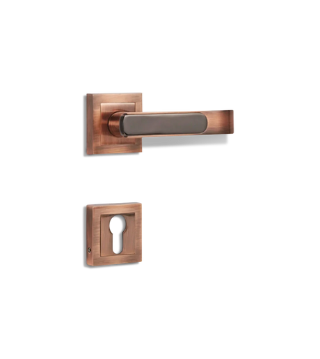 Godrej NEH 06 200 mm Door Handle Set 1CK