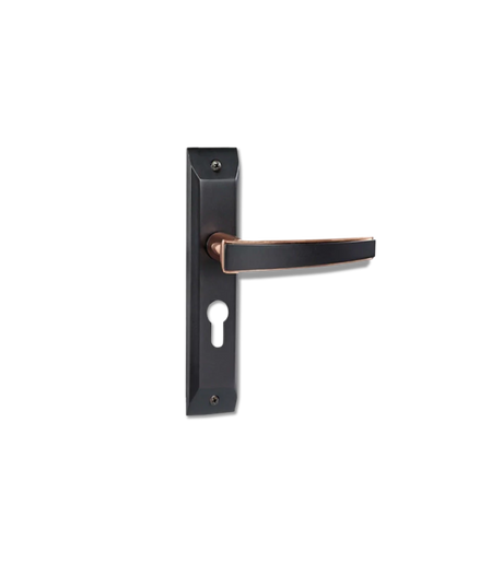 Godrej NEH 06 200 mm Door Handle Set 1CK