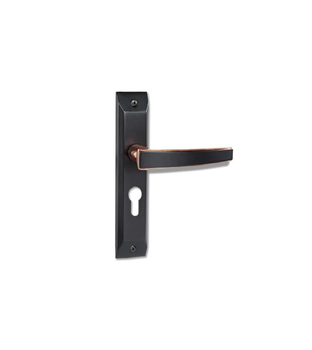 Godrej NEH 06 200 mm Door Handle Set 1CK