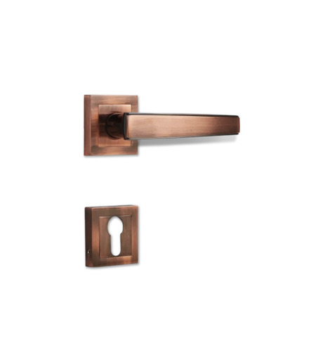 Godrej NEH 06 240 mm Door Handle Set 1CK