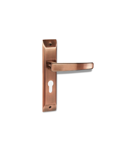 Godrej NEH 06 240 mm Door Handle Set 2C