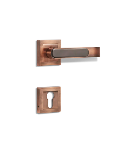 Godrej NEH 06 240 mm Door Handle Set 1CK
