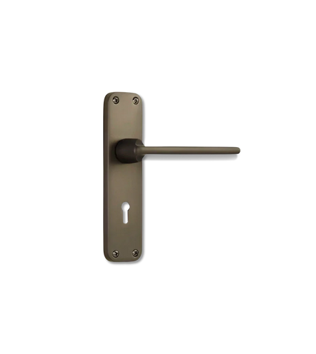 Godrej NEH 06 240 mm Door Handle Set 2C