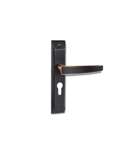 Godrej NEH 06 240 mm Door Handle Set 2C - Matte Black Rose