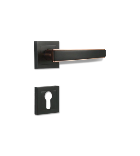 Godrej NEH 06 240 mm Door Handle Set 2C