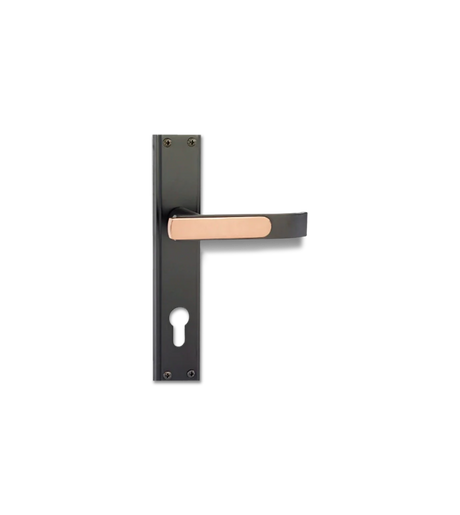 Godrej NEH 06 Baby Latch with Handle Set