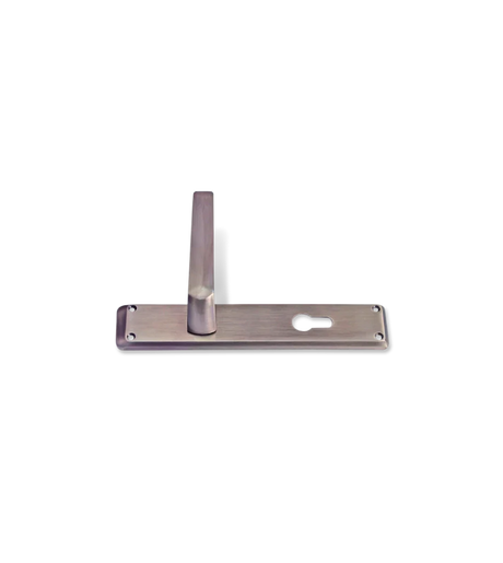 Godrej NEH 17 240 mm Door Handle Set 2C